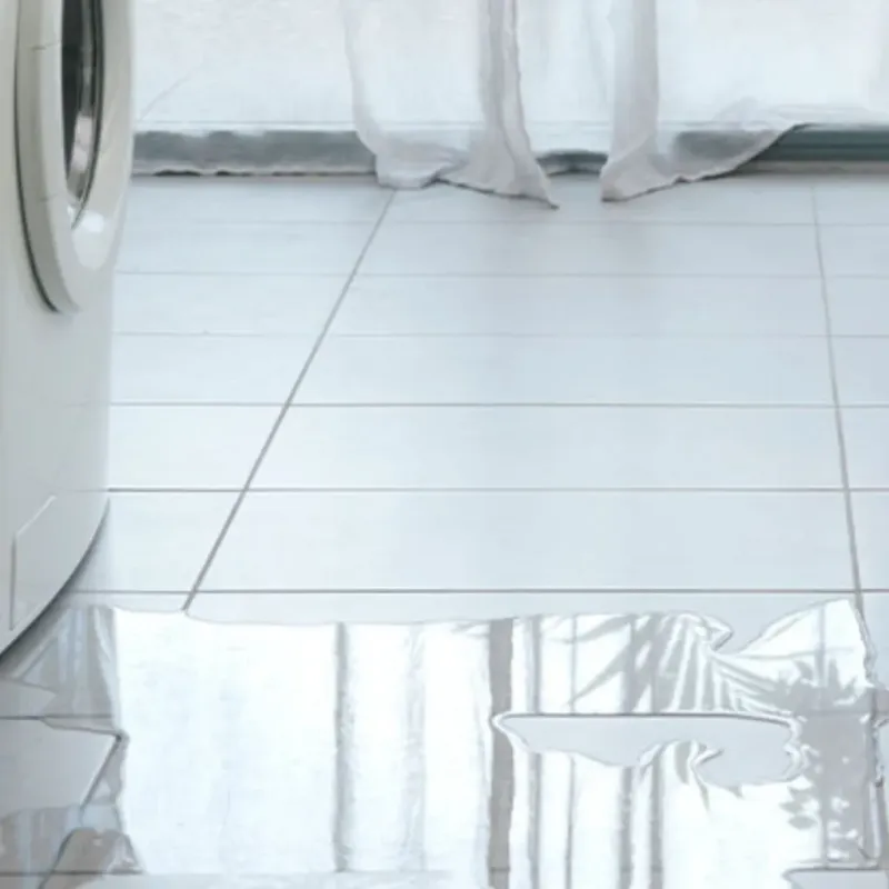 Appliance Leak Cleanup in Gibson, AR