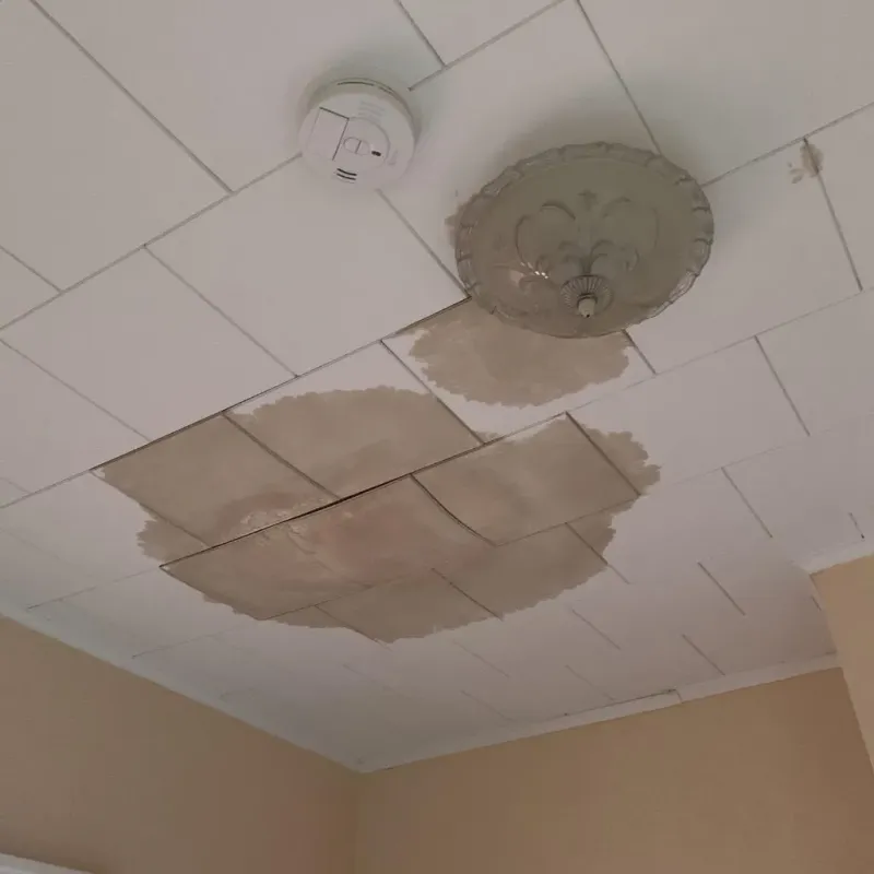 Ceiling Water Damage Repair in Gibson, AR