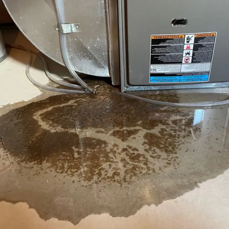 Pipe Burst and Leak Restoration in Gibson, AR