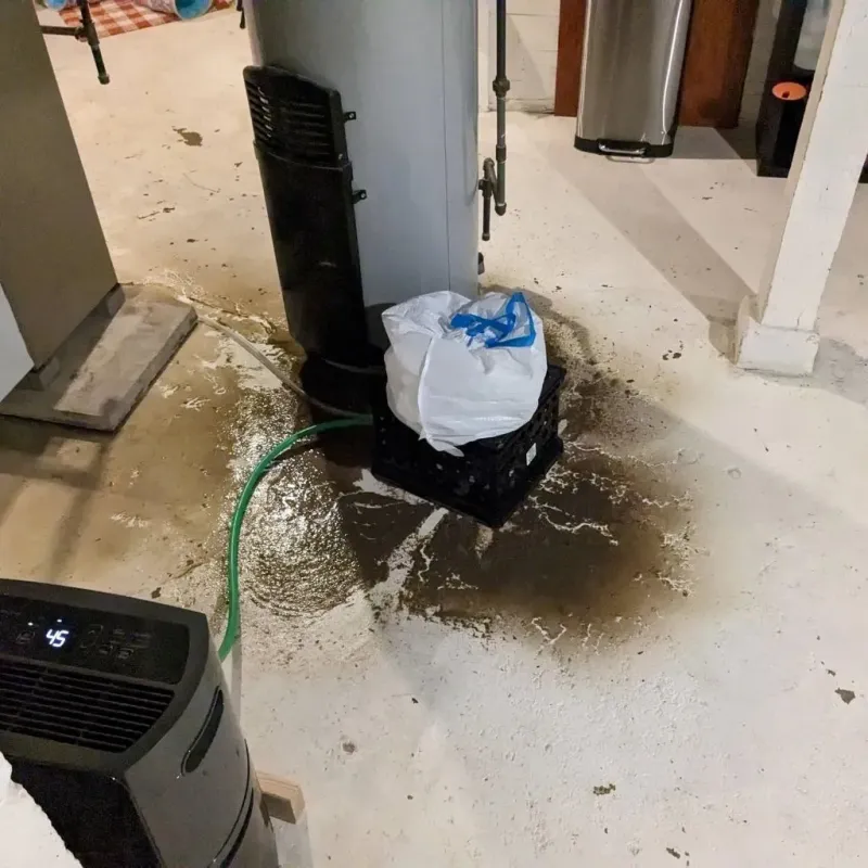 Sewage Backup Cleanup Service in Gibson, AR